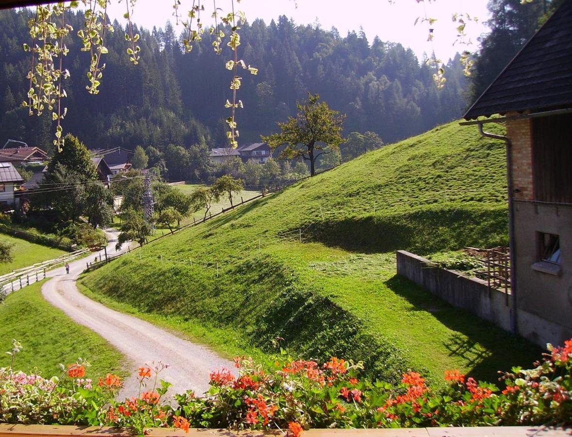 Bed and Breakfast Mittergruberhof Schladming Exterior foto